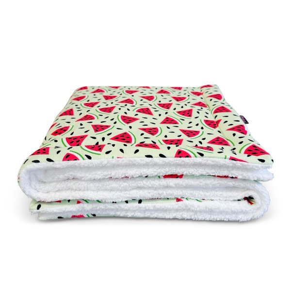 View of Melon-Tastic Corduroy Luxury Dog Blanket - RichPaw